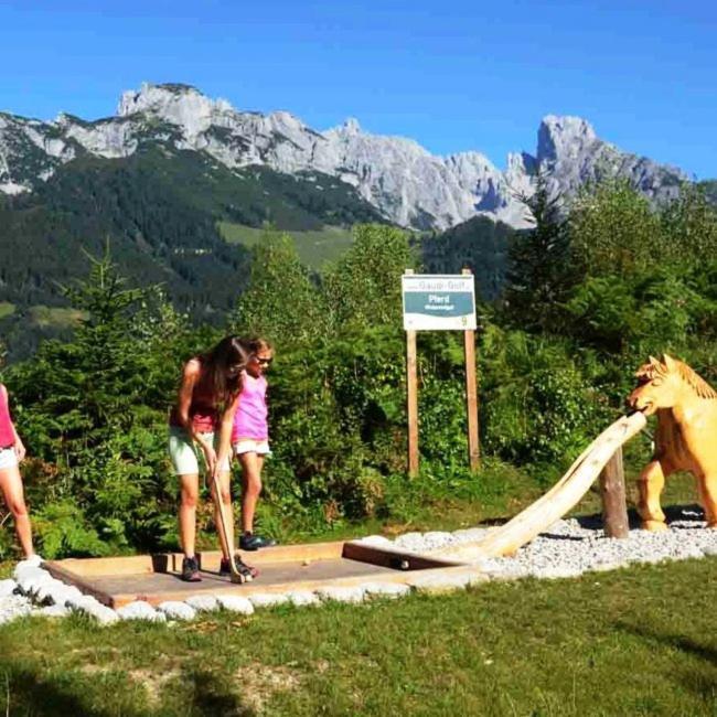 Plaik-Haeusl Villa Annaberg im Lammertal Dış mekan fotoğraf