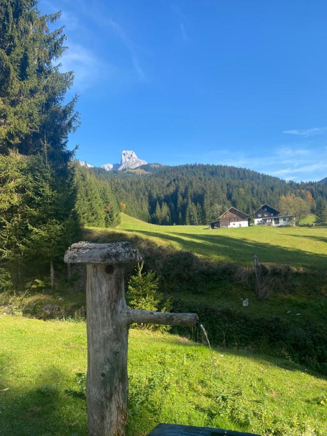 Plaik-Haeusl Villa Annaberg im Lammertal Dış mekan fotoğraf
